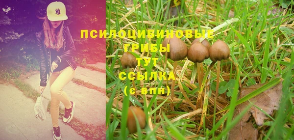 таблы Инта