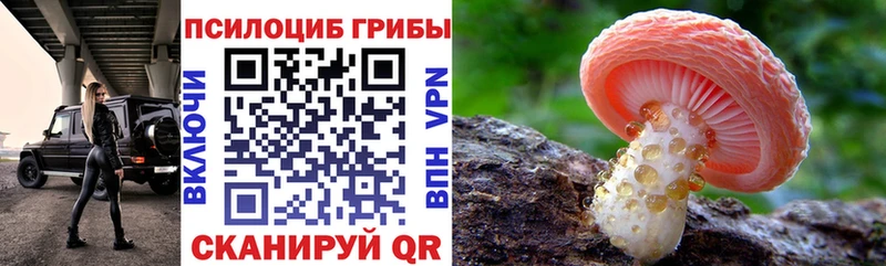 Псилоцибиновые грибы ЛСД  Купить закладки  Медногорск 